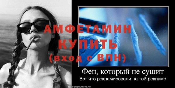 молекула духа Переславль-Залесский