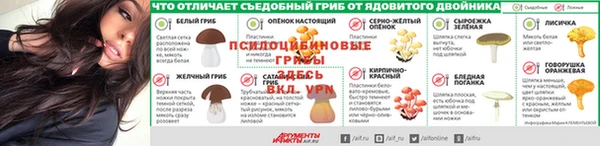 гидра Баксан