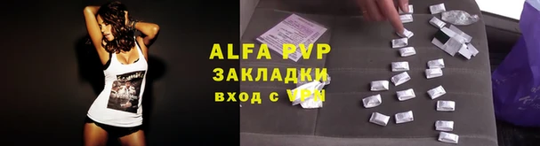 бошки Осинники
