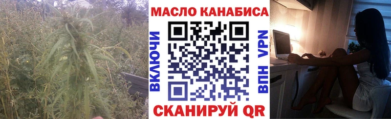 Купить  Ефремов  ТГК гашишное масло 